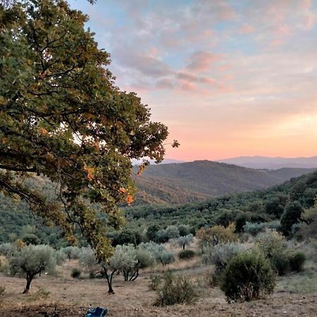 Nocini Di Maremma Villa Tatti Екстериор снимка