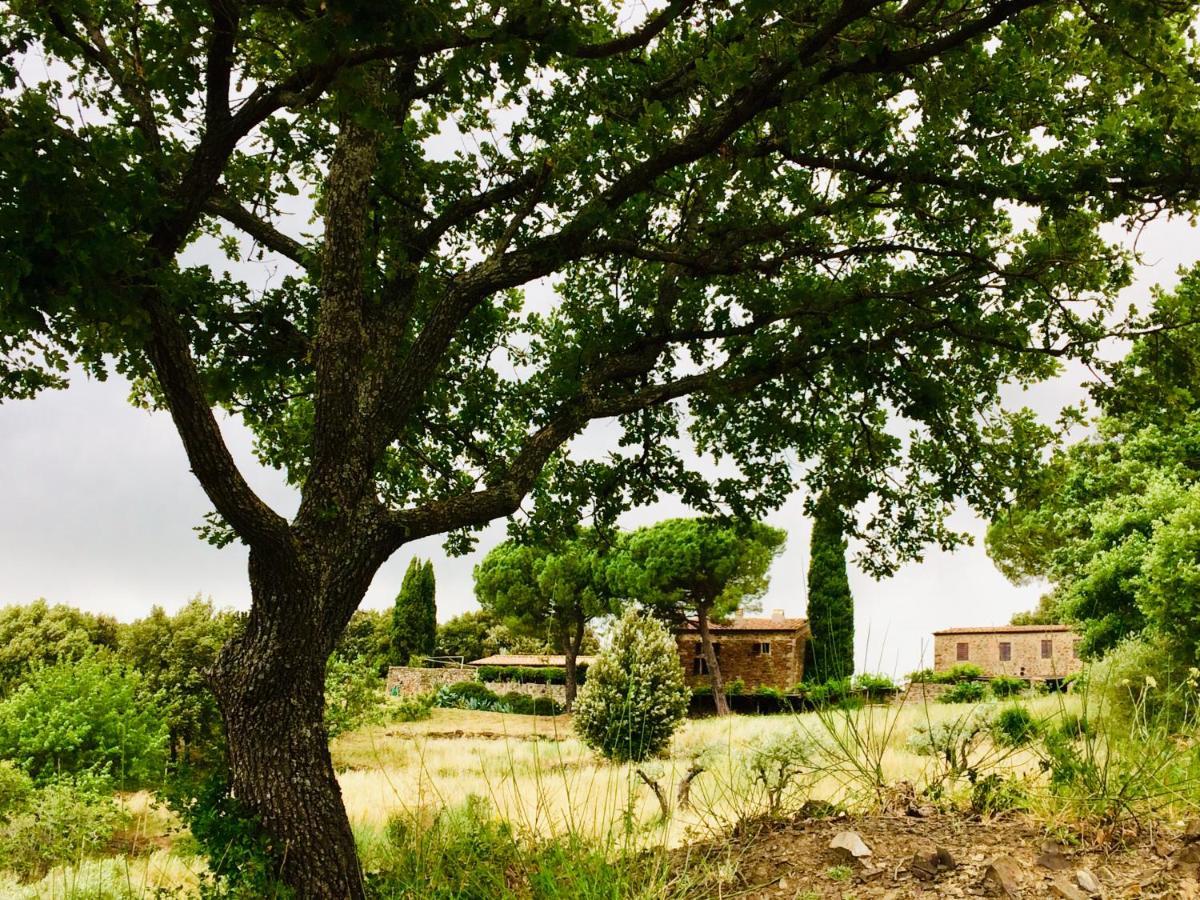 Nocini Di Maremma Villa Tatti Екстериор снимка