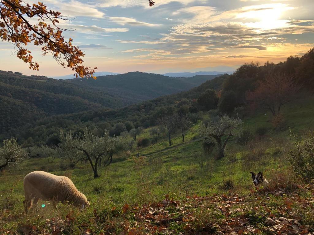 Nocini Di Maremma Villa Tatti Екстериор снимка