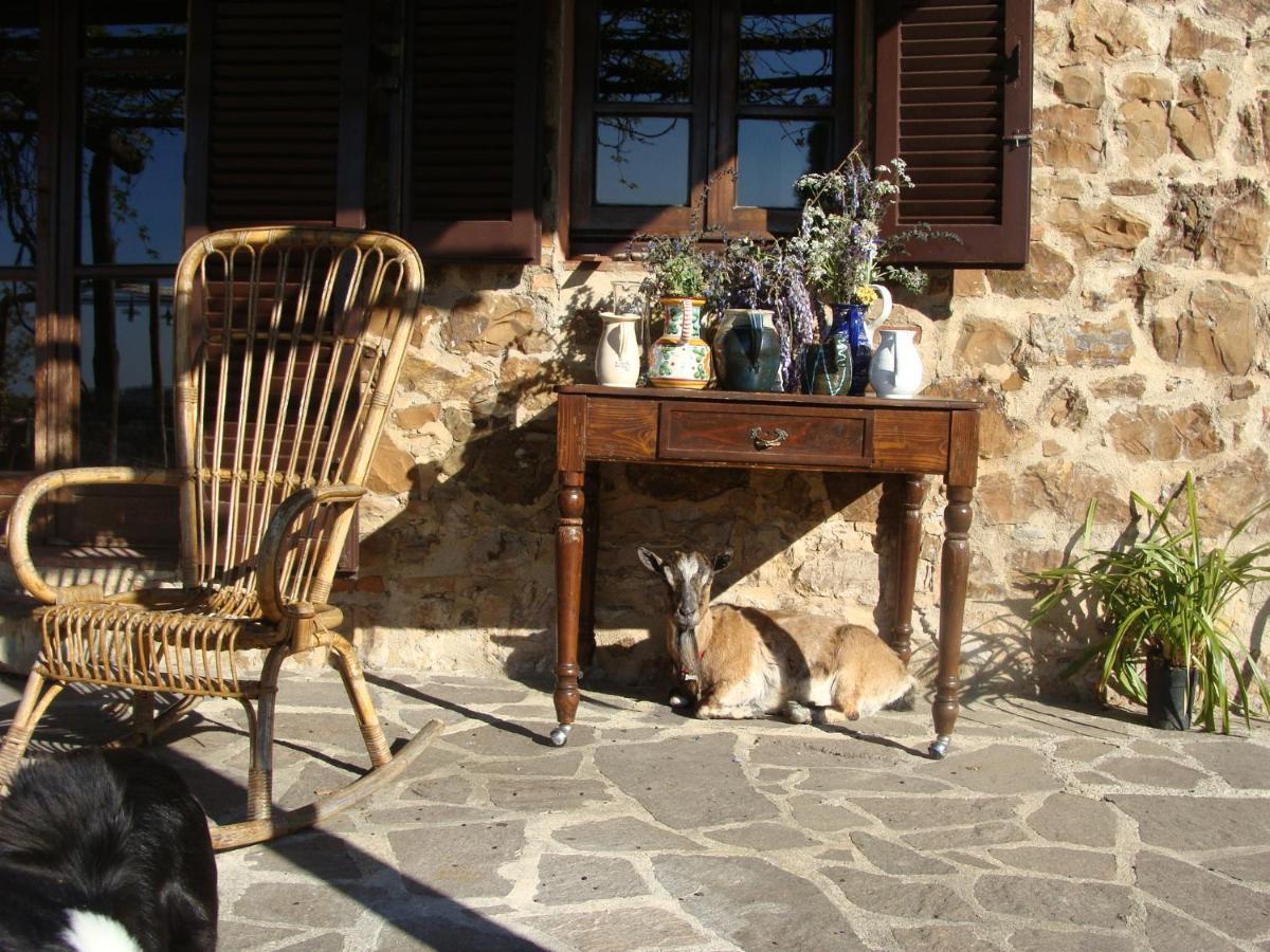 Nocini Di Maremma Villa Tatti Екстериор снимка