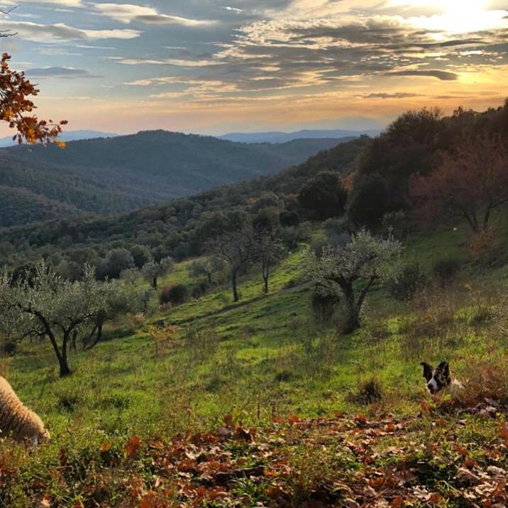 Nocini Di Maremma Villa Tatti Екстериор снимка