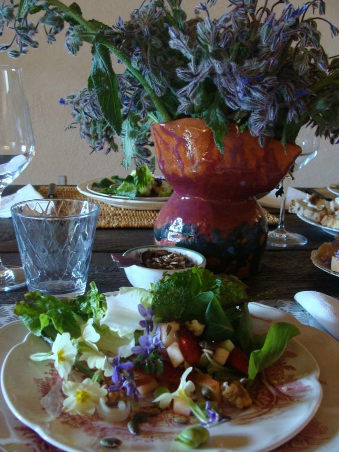 Nocini Di Maremma Villa Tatti Екстериор снимка