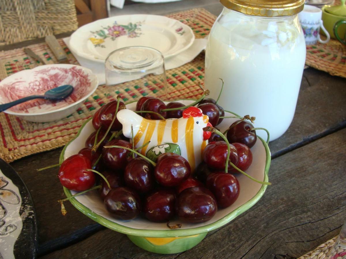 Nocini Di Maremma Villa Tatti Екстериор снимка