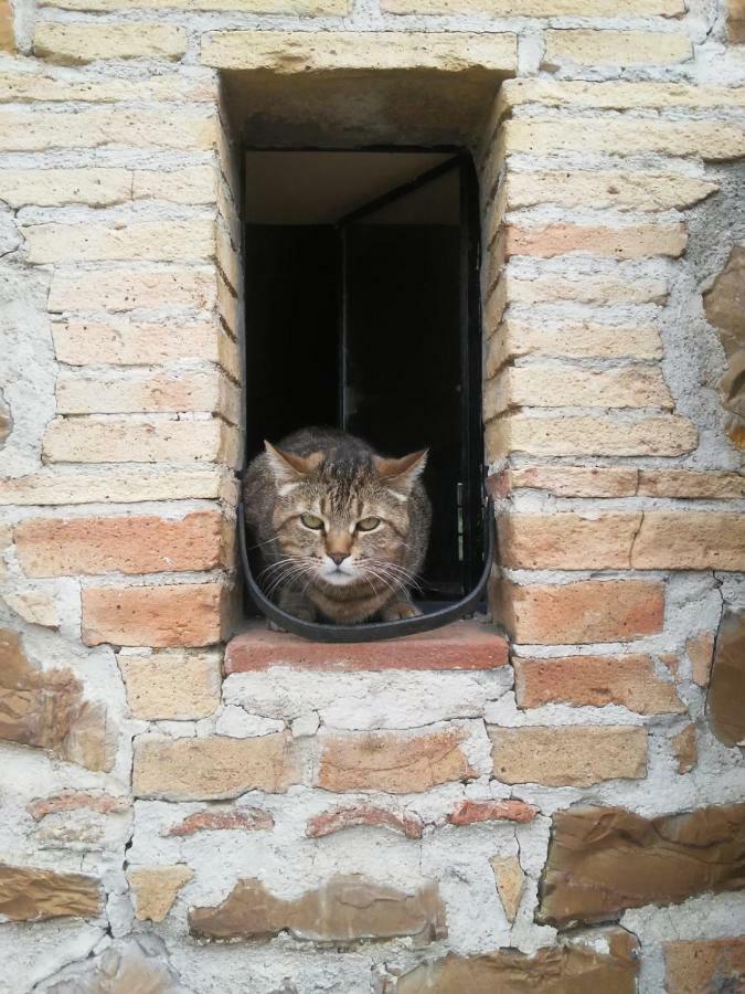 Nocini Di Maremma Villa Tatti Екстериор снимка